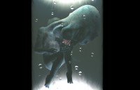 Curso / Modelado avanzado 3D